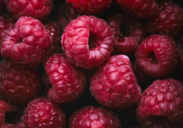 Close-up of fresh red raspberries, illustrating the fruit before processing.